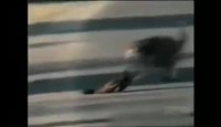 Chien Vs. canard