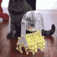 Le hamster Power walker