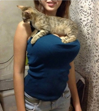 Confortable