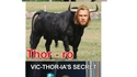 Thor tue