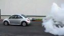 Violente new beetle