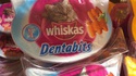 Dentabits