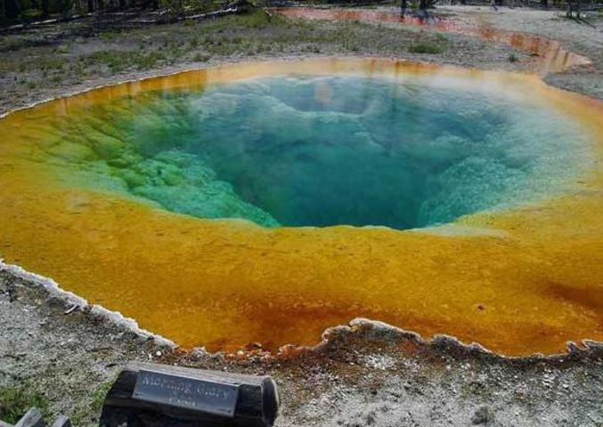 Une piscine qui a l'air bien sympathique... ou pas