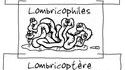 Les lombrics