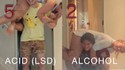 Alcool vs LSD