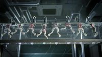Underwater Zombie frog ballet