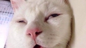 RzzZZzz 2