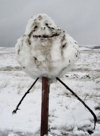 Bonhomme de neige seul