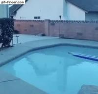 Surf sur piscine