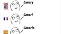 Différences linguistiques avec l'allemand