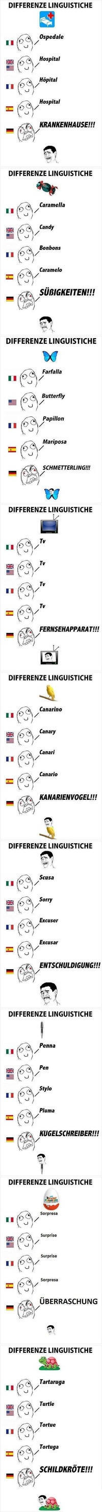 Différences linguistiques avec l'allemand