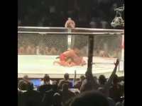 KO le plus rapide de l'histoire de l'UFC