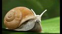 La fin d'un mythe