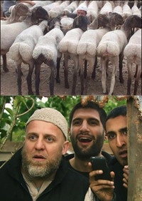 Pendant ce temps, en Syrie...