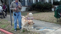 Sortir le chien