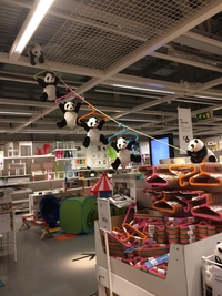 Les pandas s'échappent !