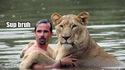 Divorce de lions