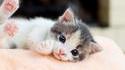 so cute
