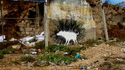 Art de rue 5