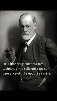 Psychanalyse politique