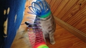 Chat coince