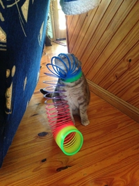 Chat coince
