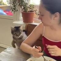 Repas partagé
