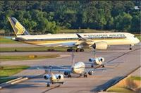 Une maman et ses petits ?