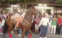 Cheval Style