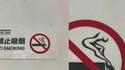 pour les fumeur de gitanes