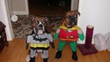 Batman et Robin