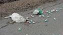 RIP lapinou 