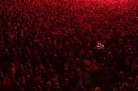 Un selfie en plein concert 