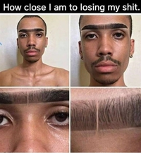 Ce n'est pas vraiment un mono-sourcil