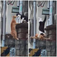 Mal interpréter les signaux 