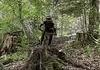 Changer de monture pendant le parcours
