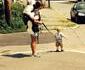 Porter son bébé et promener son chien...