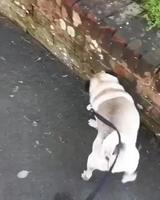 Technique intéressante