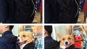 Ein en mode cosplay
