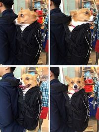Ein en mode cosplay