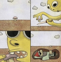 Bientôt l'époque des champignons !