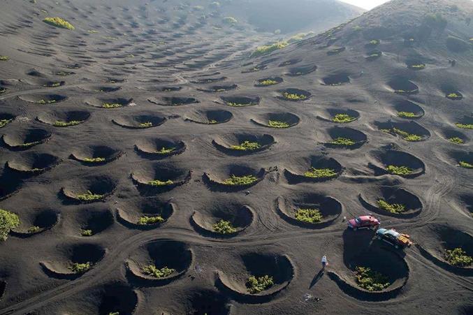La Geria est une vallée viticole et un parc naturel de l'île de Lanzarote dans l'archipel des îles Canaries