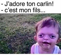 J'adore ton carlin