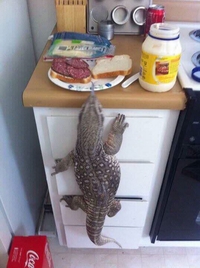 Miam