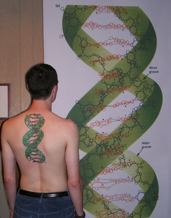 Un tatouage d'une séquence ADN.