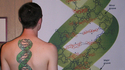 Tatouage ADN