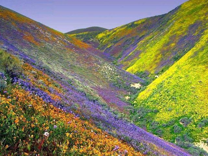 La vallée colorée