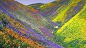 La vallée colorée