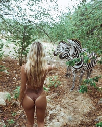 Moi, j'aime bien les zèbres