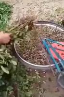 "tu n'as pas inventé la poudre"